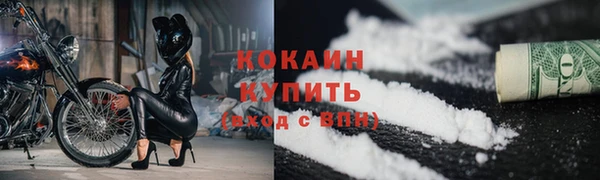 шишки Горнозаводск