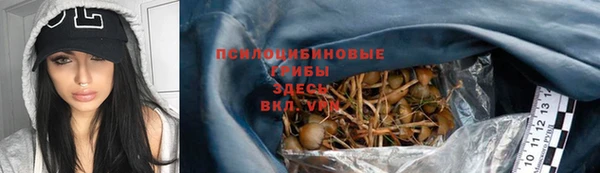 mdma Горняк