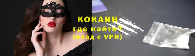 шишки Горнозаводск