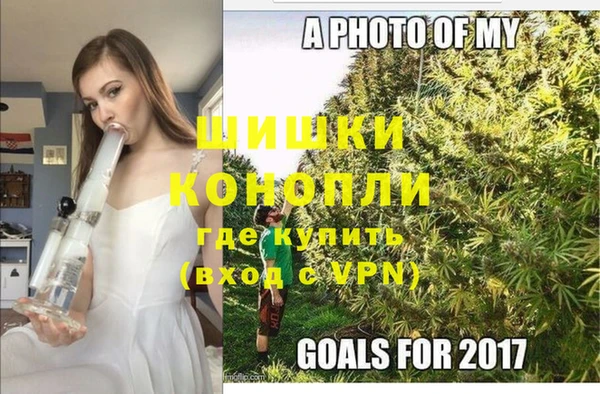 шишки Горнозаводск