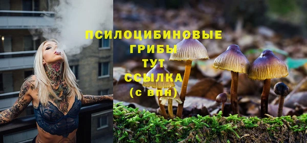 не бодяженный Иннополис