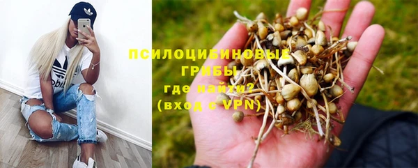 apvp Горно-Алтайск