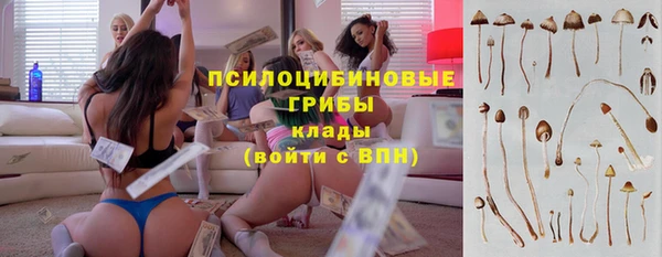 COCAINE Инта